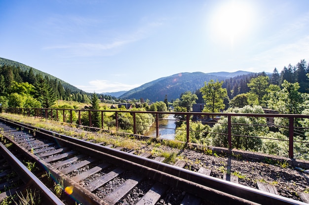 Ferrocarril entre hermosos paisajes.