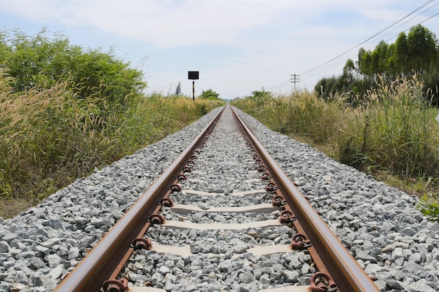 Ferrocarril y hierba de hierba.