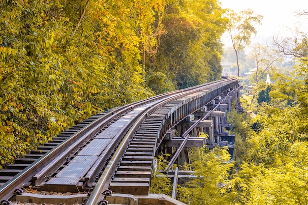 El ferrocarril de la muerte cruzando el bosque