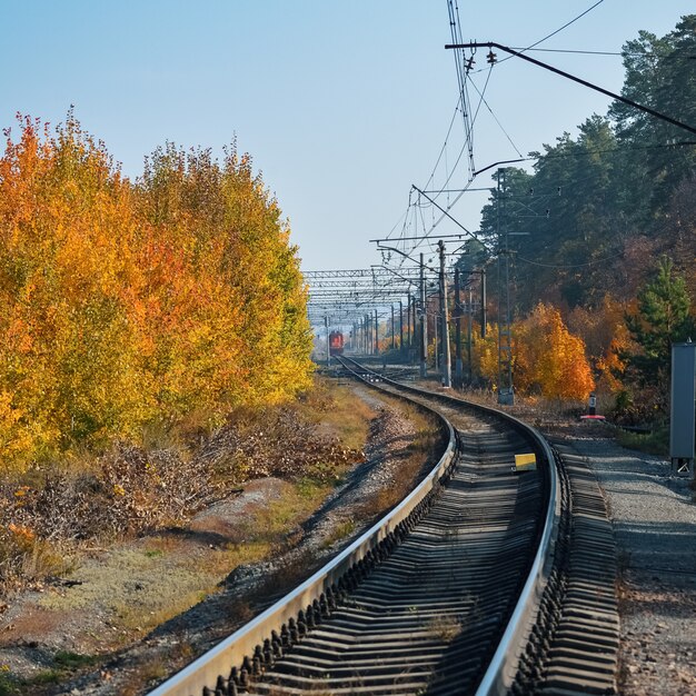 El ferrocarril pasa por un hermoso bosque otoñal con árboles coloridos.