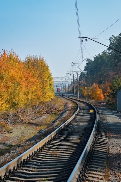 El ferrocarril pasa por un hermoso bosque otoñal