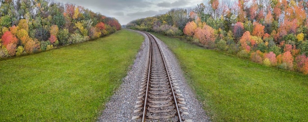 Ferrocarril de perspectiva y panorama de árboles de otoño a lo largo de las vías