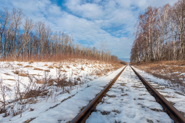 Ferrocarril que se aleja en la distancia en medio de un bosque cubierto de nieve.