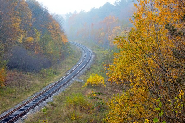 El ferrocarril que atraviesa el bosque de otoño.