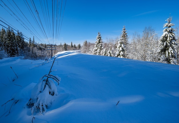 Ferrocarril a través del bosque de abetos nevados y casco alpino remoto en las montañas de los Cárpatos, la nieve se acumula en el borde del camino