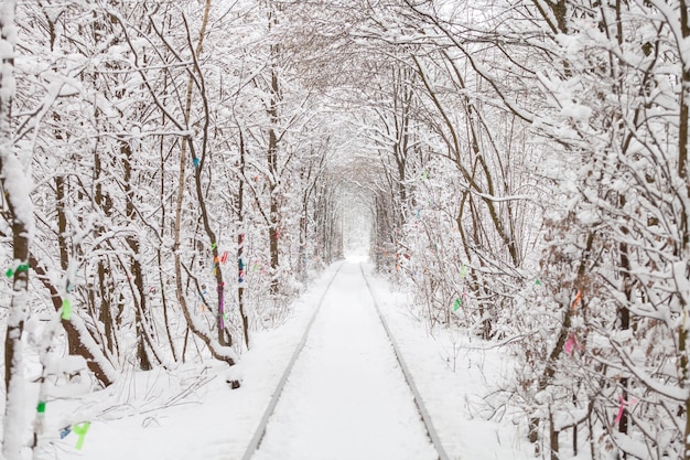 Un ferrocarril en el túnel del bosque de invierno del amor.