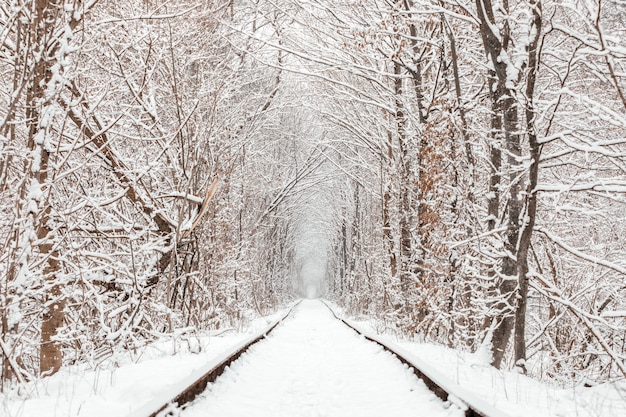 Un ferrocarril en el túnel del bosque de invierno del amor.