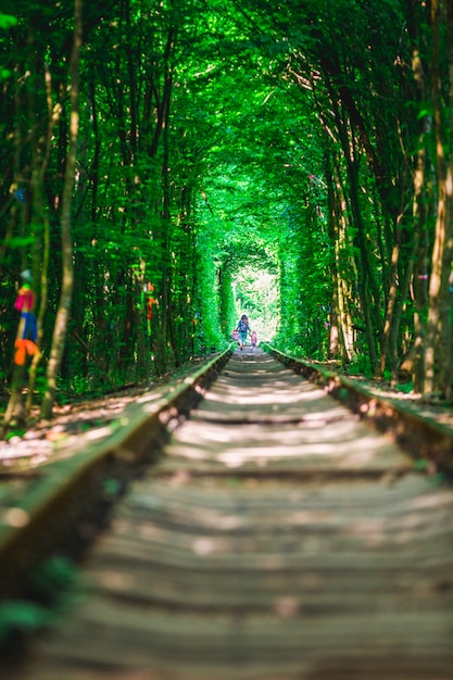 Un ferrocarril en el túnel del bosque primaveral del amor.