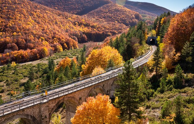 Ferrocarril con un túnel en el puente que pasa en el bosque de otoño en las montañas