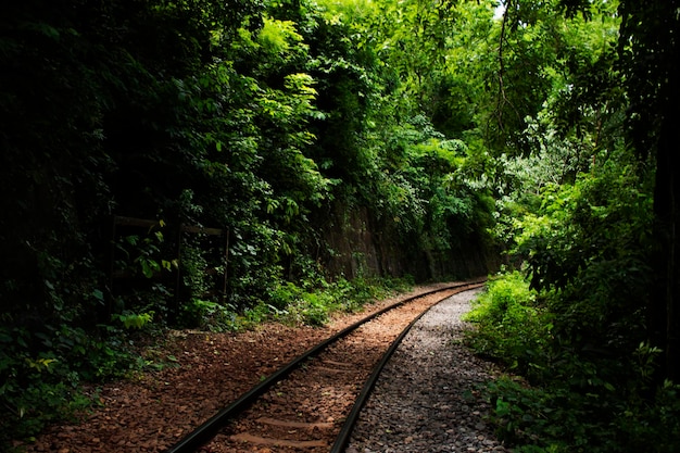 Ferrovia de trem entre a montanha da passagem do fogo do inferno e o rio Si Sawat ou Khwae Kwai com selvageria florestal no Parque Nacional Sai Yok para visita de viagem na caverna Tham krasae em Kanchanaburi Tailândia