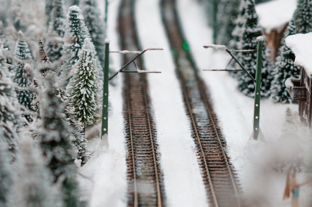 Ferrovia na floresta no inverno