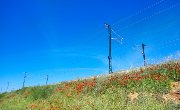 Foto ferrovia no caminho de santiago levante