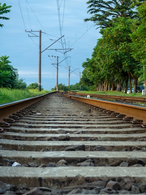 Ferrovia nos arredores da cidade Estrada para transporte elétrico entre as árvores