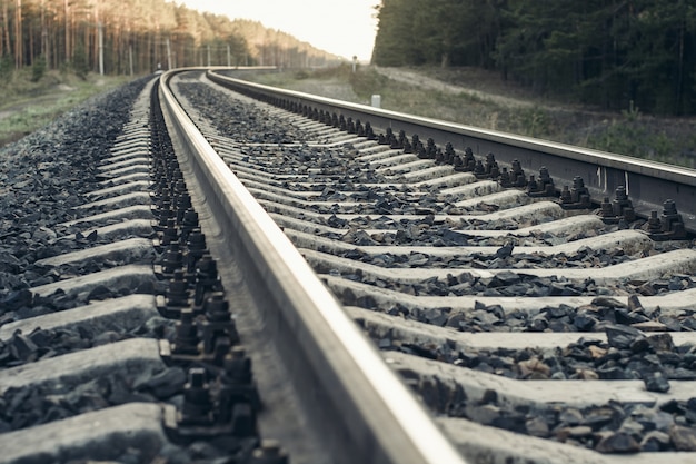 Foto ferroviária na floresta.