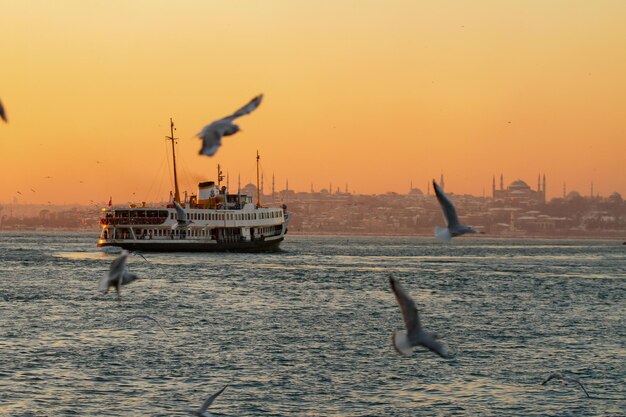 Ferry nostálgico correndo dentro das linhas da cidade de Istambul