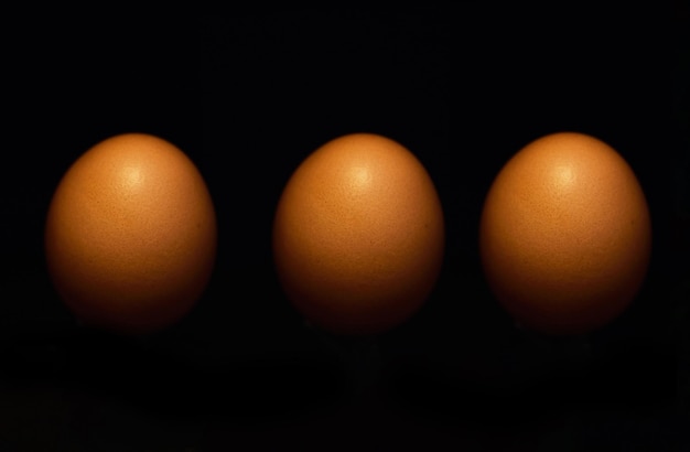 Fertilidad agrícola y huevos sobre un fondo oscuro en un estudio para la sostenibilidad o reproducción de la granja Mercado de alimentos y desayuno con productos frescos de pollo para una tienda de comestibles sobre un fondo negro