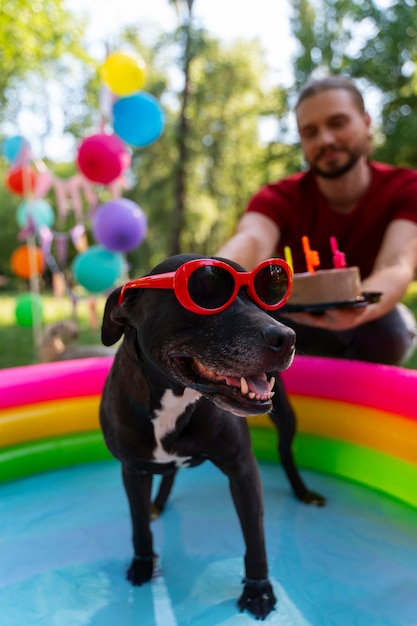 Foto festa de aniversário na piscina para cães