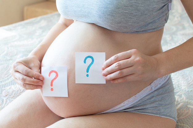 Foto festa de gênero. a barriga de grávida tem um menino e uma menina ponto de interrogação nas mãos.