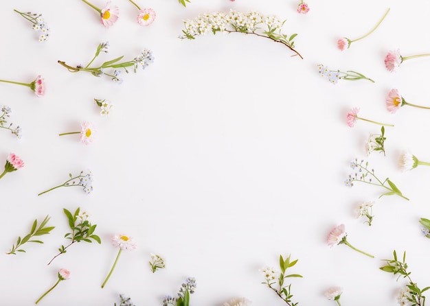 Festiva primavera salvaje verano flores margaritas nomeolvides composición sobre el fondo blanco Vista superior de arriba plana lay Espacio de copia Cumpleaños Día de San Valentín de la madre Día de la boda de la mujer concepto