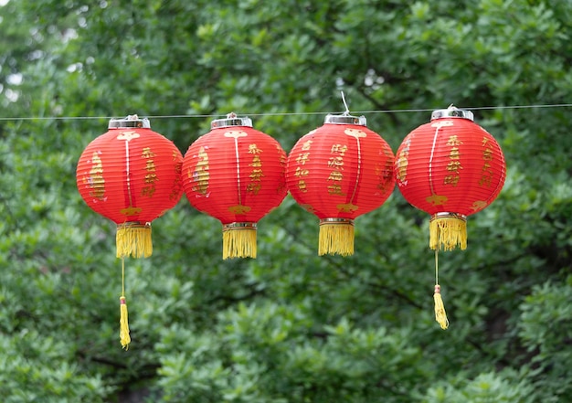 Festival chino Red Lantern contra el fondo de árboles verdes y cielo