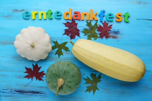 Festival de la cosecha Erntedankfest en Alemania Calabaza calabaza fondo azul de madera