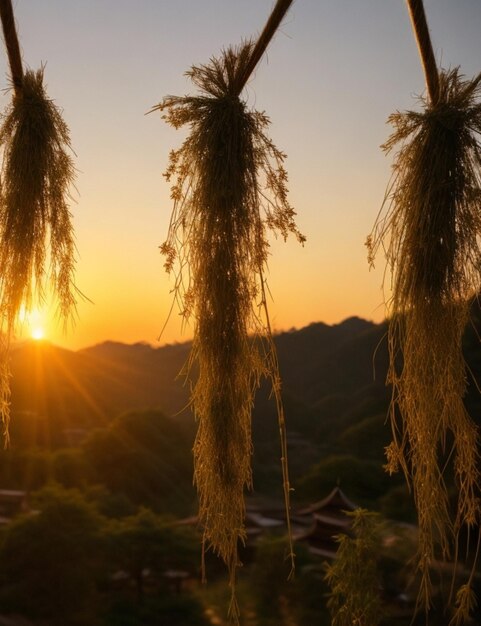 Foto festival de dongzhi