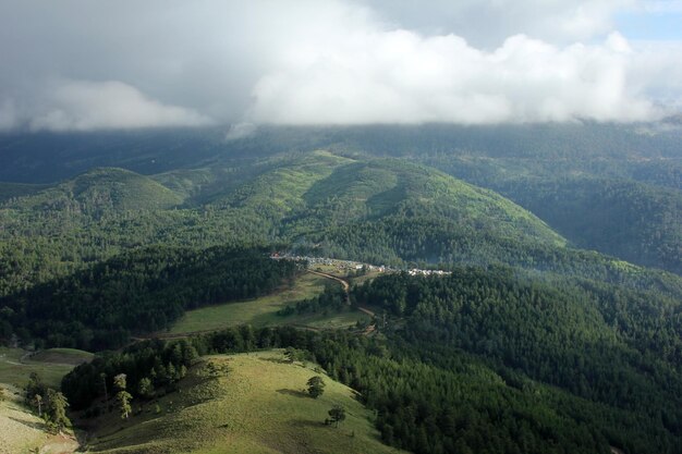 Festival de montanhismo na floresta