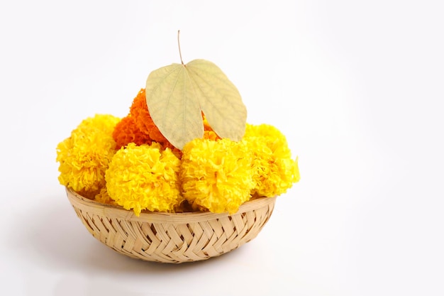 Foto festival indio dussehra mostrando hojas de oro piliostigma racemosum y flores de caléndula sobre fondo blanco