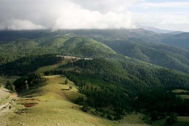 Festival de montañismo en el bosque.