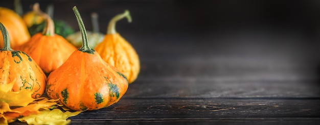 Festliche Herbstdekoration mit Kürbissen und Blättern auf dunklem Holzhintergrund. Thanksgiving-Konzept.