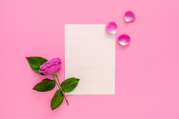 Festliche Komposition zum Valentinstag Rosa Rose, Schachtel mit Makronen