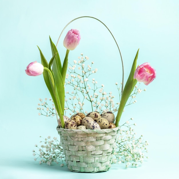 Festlicher Osterkorb mit Wachteleiern, rosafarbenen Tulpen und weißem Gypsophila auf pastellblauem Hintergrund