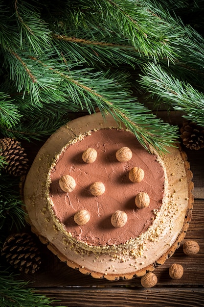 Festlicher Schokoladenkuchen mit Nüssen