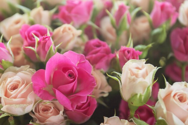 Festtagsblumen als GeschenkEin Strauß aus wunderschönen zarten Rosen in Pink und Beige