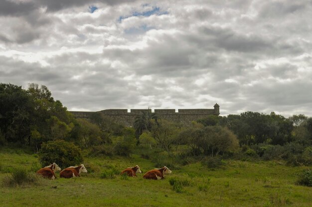 Festung von Santa Teresa in Rocha - Uruguay.