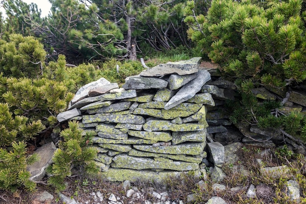 Festungsmauer aus Stein aus dem Ersten Weltkrieg bedeckt mit gelbem Moos Karpaten Ukraine