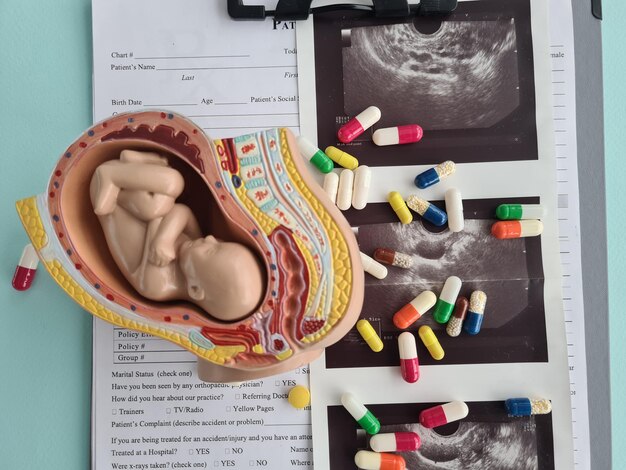 Feto em tablet médico de ultrassom e anatomia fetal