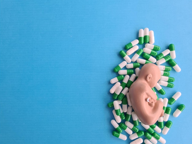 Feto modelo de embrião e aborto medicinal ou vitamina para recém-nascidos