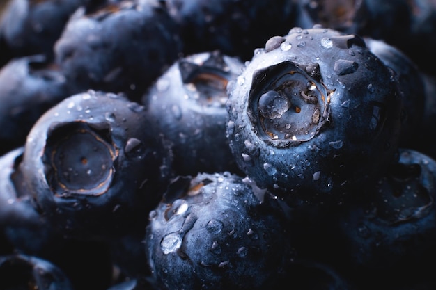 Feuchter frischer Blaubeere Hintergrund Studio Makrofotografie Blaubeeren mit Wassertropfen auf einem
