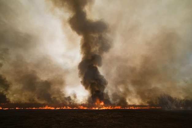 Feuer an Land