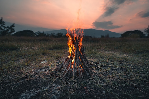 Feuer aus Brennholz das Lagerfeuer am Abend