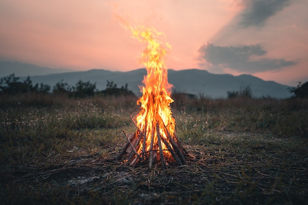 Foto feuer aus brennholz das lagerfeuer am abend