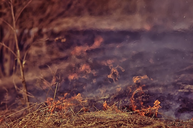 Feuer im Feld / Feuer im trockenen Gras, brennendes Stroh, Element, Naturlandschaft, Wind