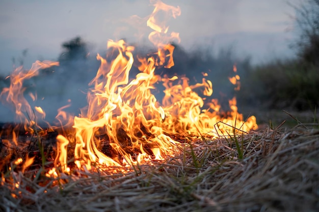 Feuer im Land Es ist das Verbrennen des Strohs des Bauern Staubursachen in pm 25