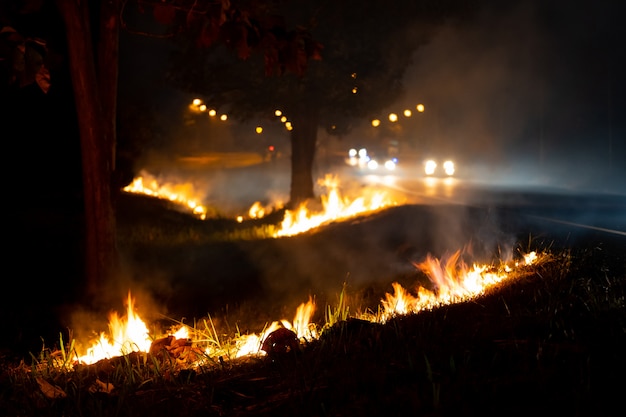 Feuer über die wilde Seite der Straße