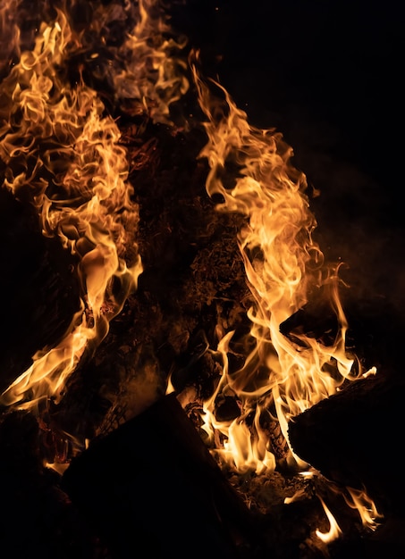 Feuerfeuer in der nacht. feuerflammen auf einem schwarzen hintergrund