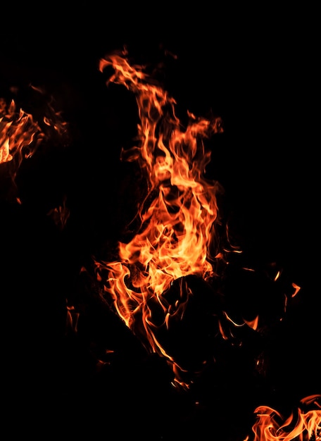 Feuerfeuer in der Nacht. Feuerflammen auf einem schwarzen Hintergrund
