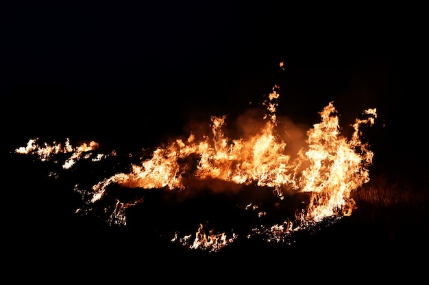 Foto feuerflamme in der dunkelheit für abstrakten hintergrund