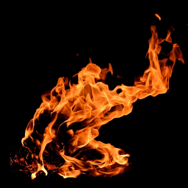 Feuerflammen, die auf einem schwarzen Hintergrund isoliert sind