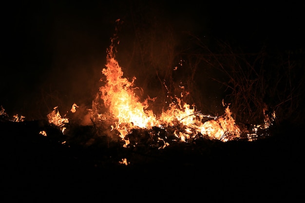 Feuerflammen, die trockenes Gras auf dunklem Hintergrund brennen.